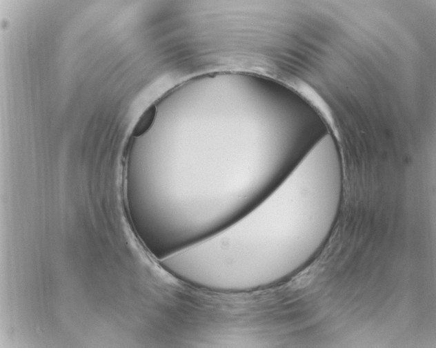 X0000088431096200705221241