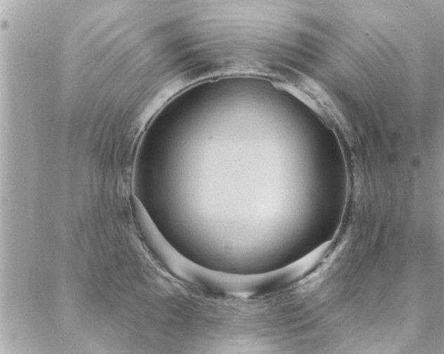 X0000088431097200705221241