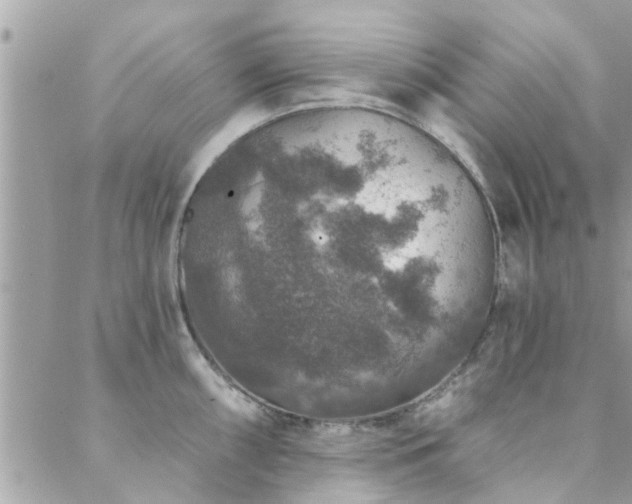 X0000088431098200705221241