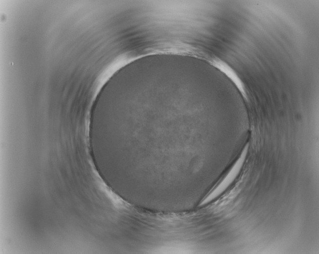 X0000088431099200705221241