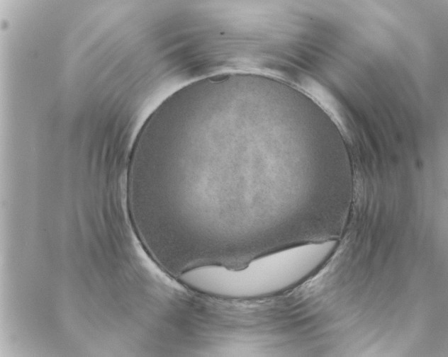 X0000088431100200705221241