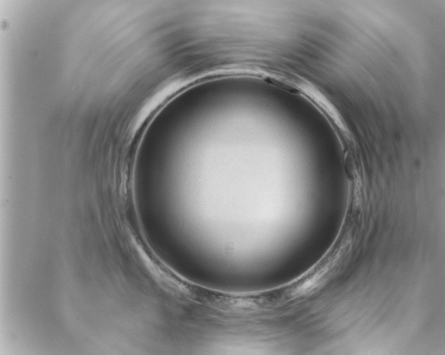 X0000088431101200705221241