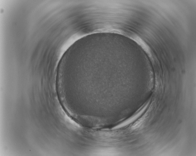 X0000088431102200705221241