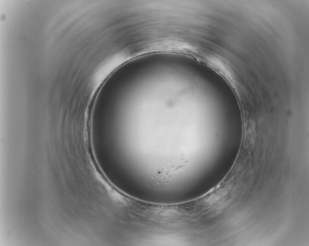 X0000088431103200705221241