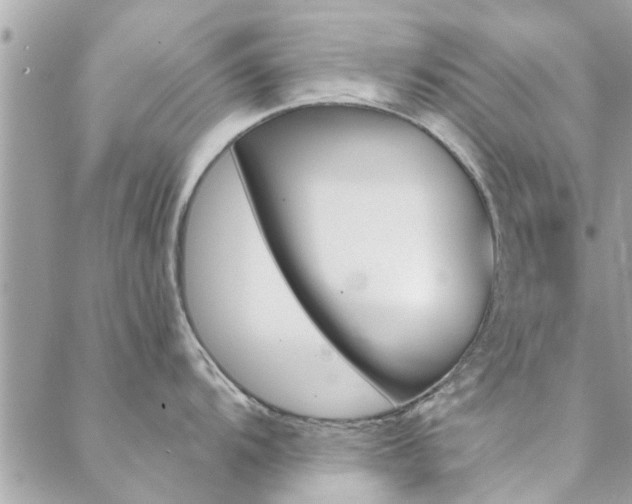 X0000088431104200705221241