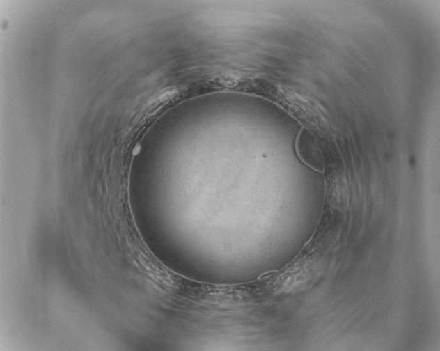 X0000088431105200705221240