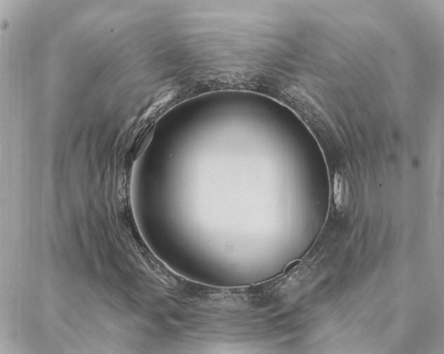 X0000088431107200705221240