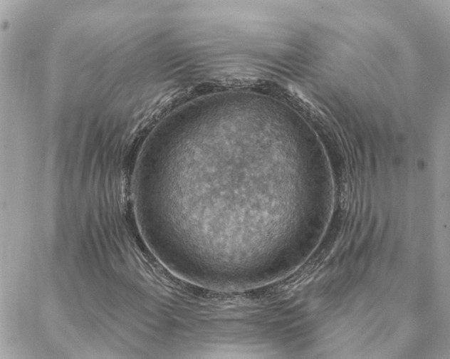 X0000088431108200705221240