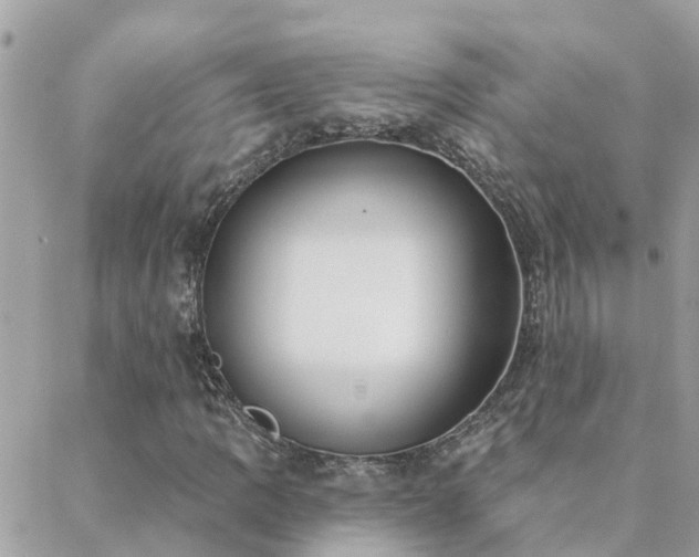 X0000088431109200705221240