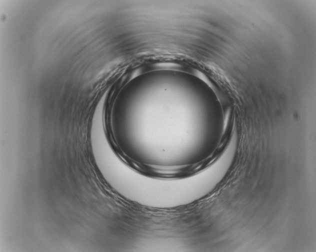 X0000088431110200705221240