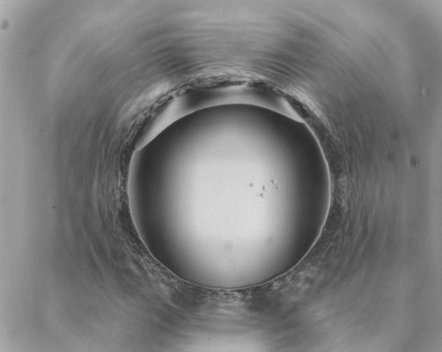 X0000088431111200705221240