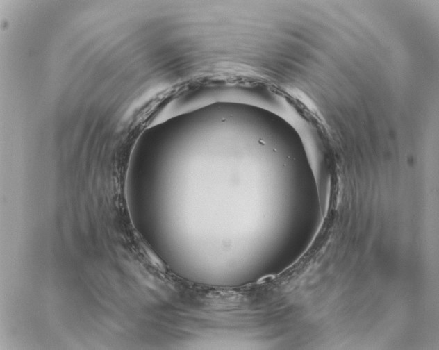 X0000088431112200705221240