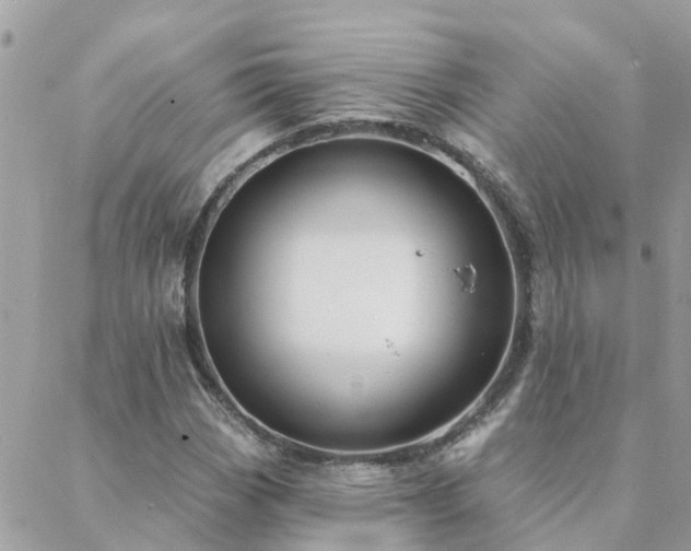 X0000088431113200705221240