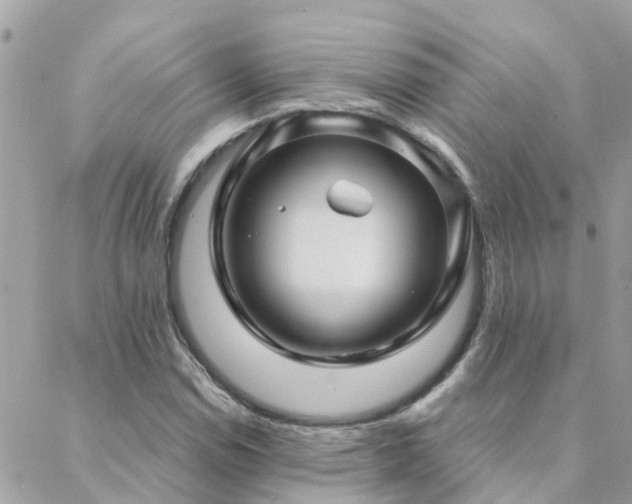 X0000088431114200705221240