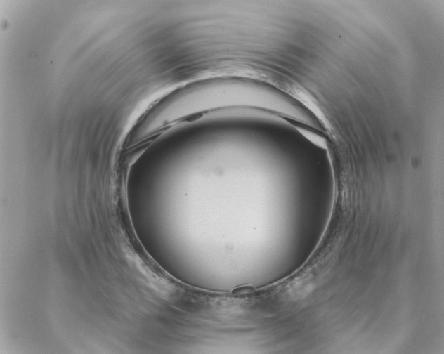 X0000088431116200705221240