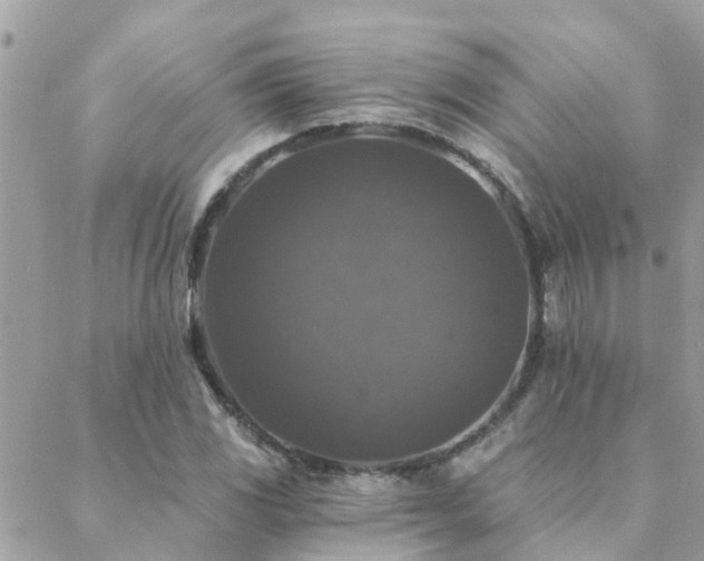 X0000088431117200705221240