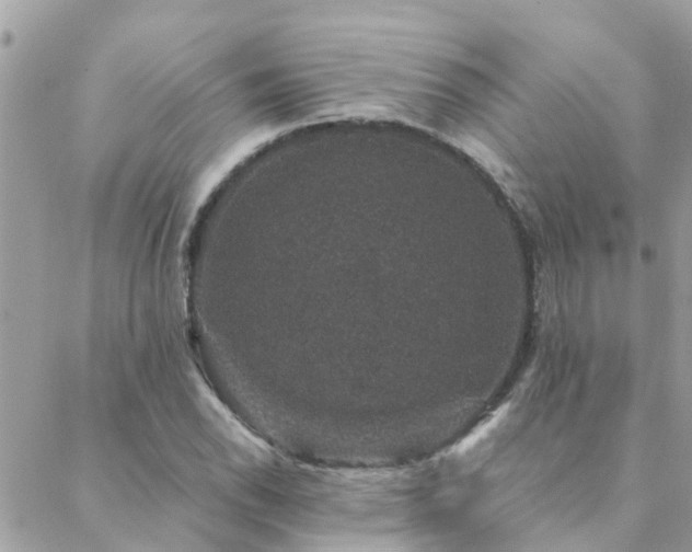 X0000088431118200705221240