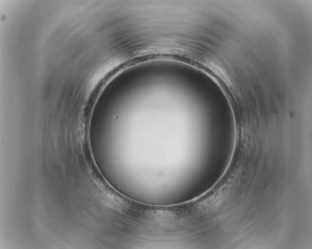 X0000088431119200705221240