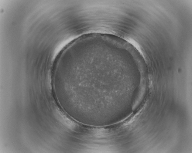 X0000088431120200705221240