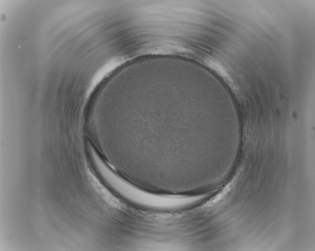 X0000088431122200705221240