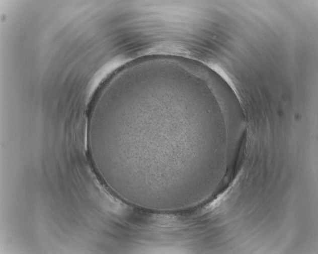 X0000088431123200705221240