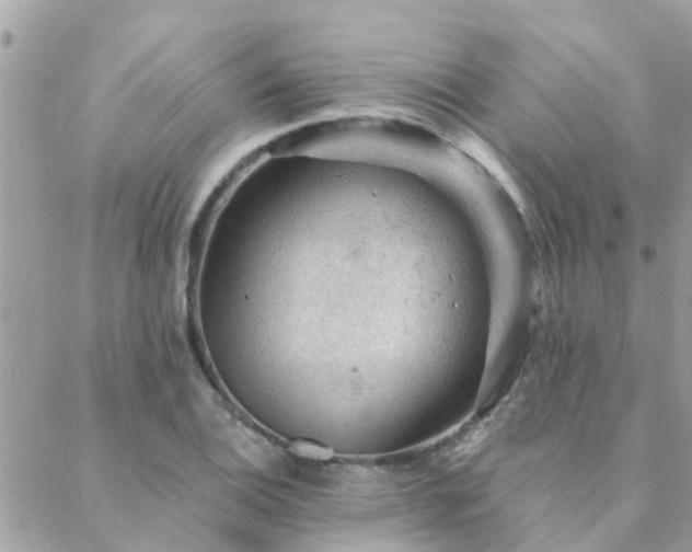 X0000088431124200705221240