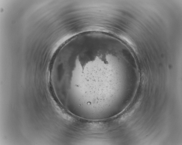 X0000088431125200705221240