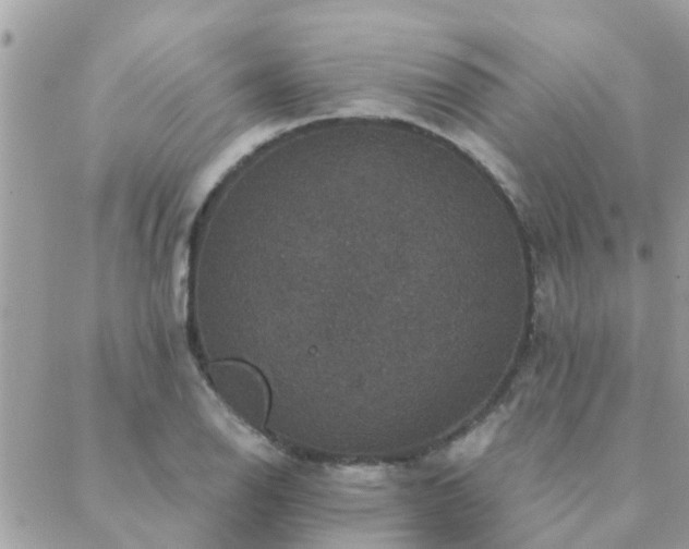 X0000088431126200705221240