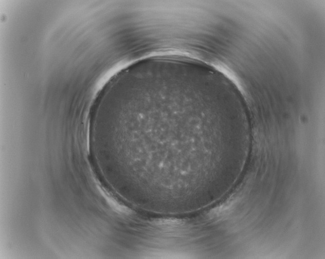 X0000088431127200705221240