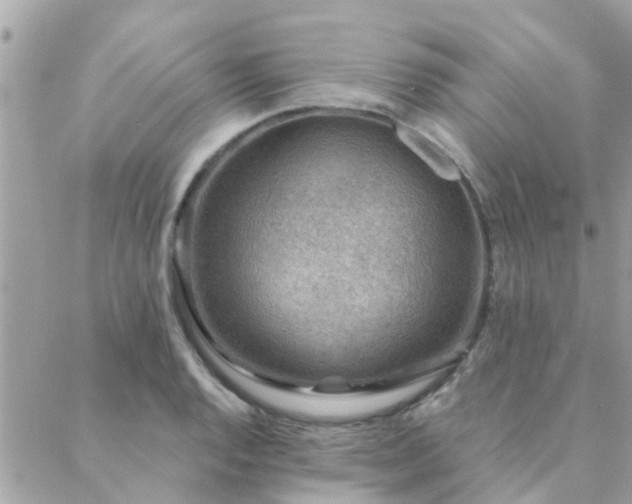 X0000088431128200705221240