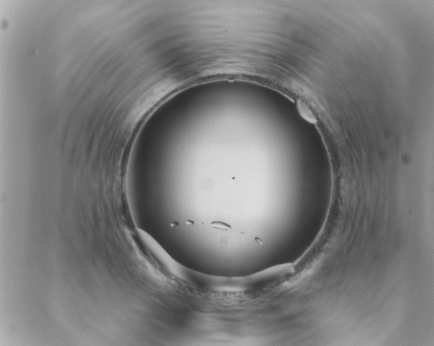 X0000088431129200705221240