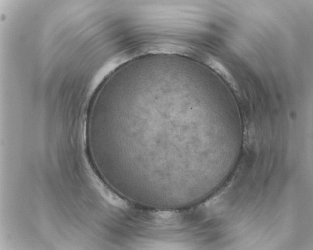 X0000088431130200705221240