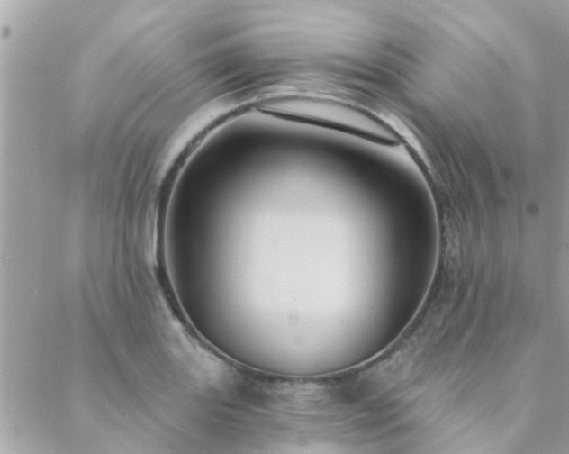 X0000088431131200705221240