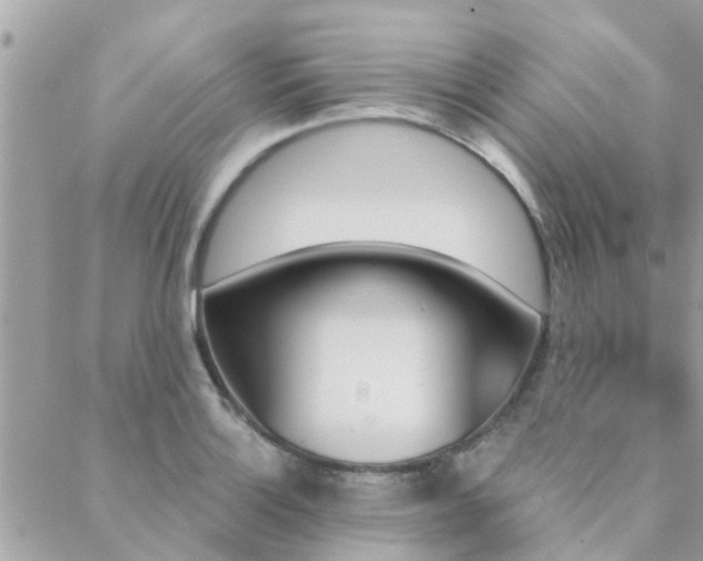 X0000088431132200705221240