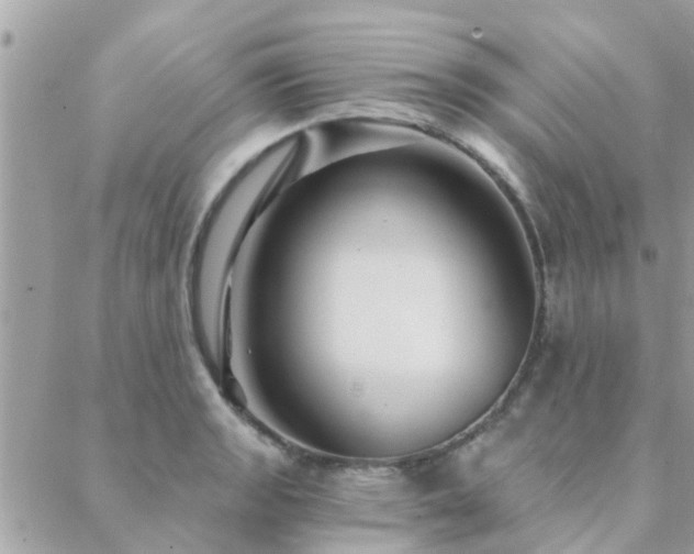 X0000088431133200705221240