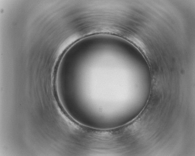 X0000088431135200705221240