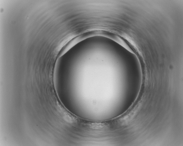 X0000088431137200705221241