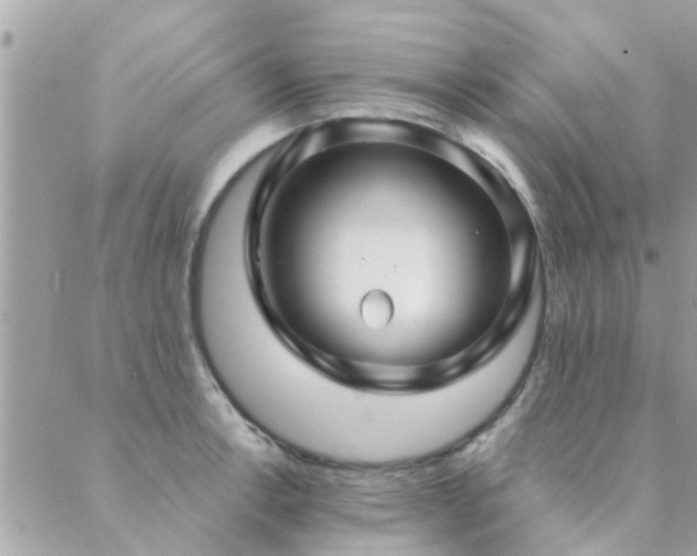 X0000088431138200705221241