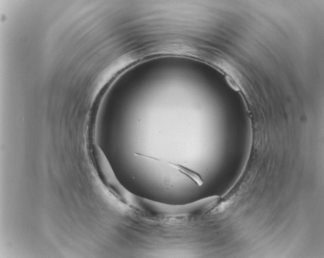 X0000088431139200705221241