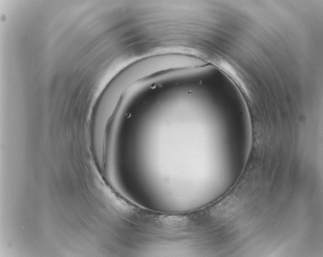 X0000088431140200705221241