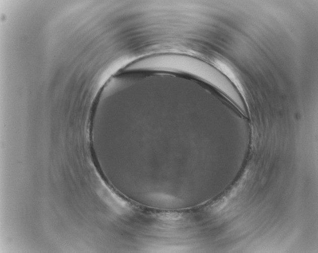 X0000088431141200705221241