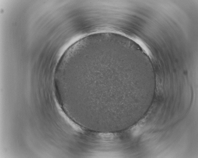 X0000088431142200705221241