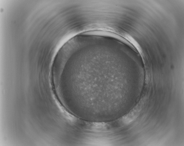 X0000088431144200705221241