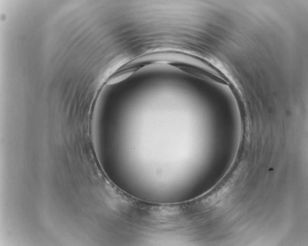 X0000088431145200705221241