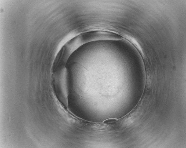 X0000088431146200705221241