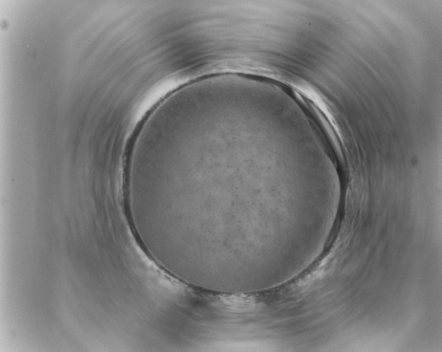 X0000088431147200705221241