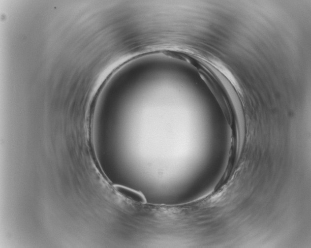 X0000088431148200705221241