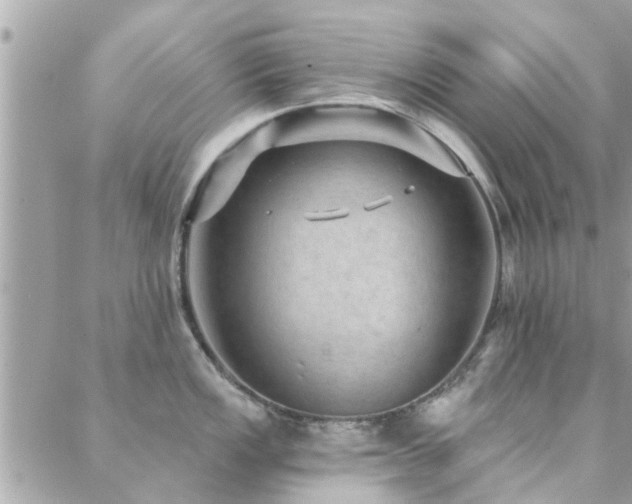 X0000088431149200705221241