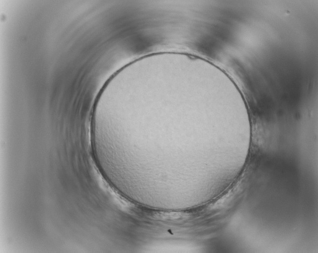 X0000088431150200705221241