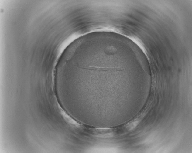 X0000088431151200705221241